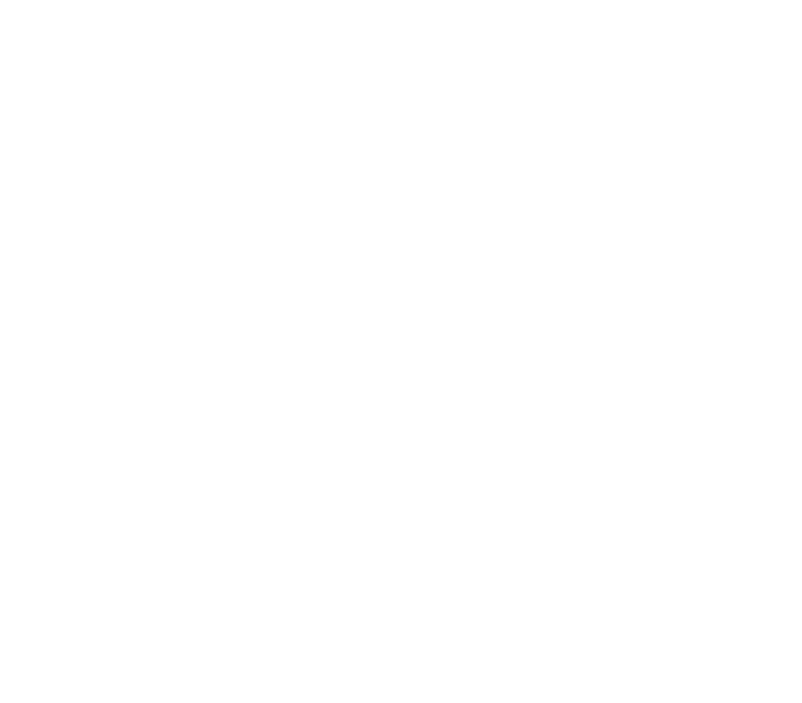 newsouth
